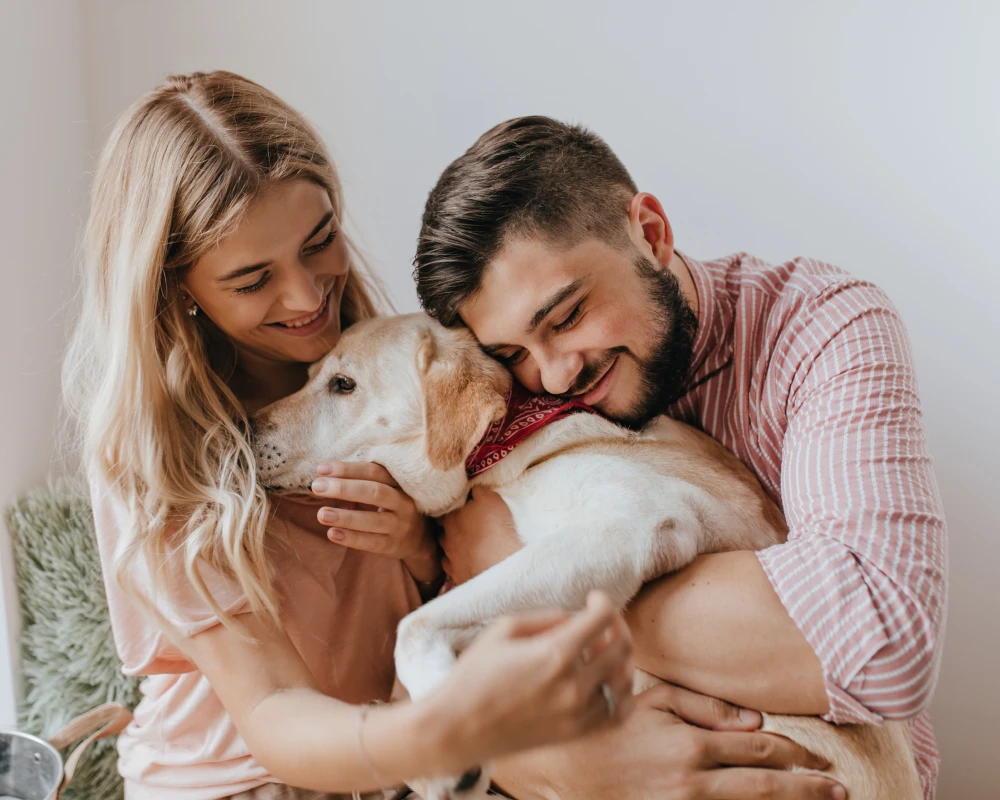 dog water feeder automatic